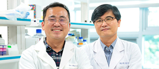 YU Research Team Uncovers ‘Stem Cell Survival Rate Enhancement” Mechanism!