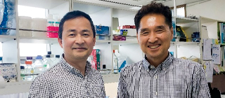 College of Medicine Professor Jung Dae-won’s Team Investigates the Biological Causes of ‘Osteoporosis’