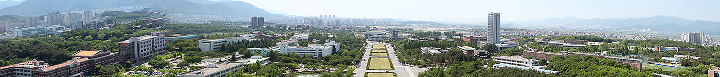 The view of Yeungnam Univerity