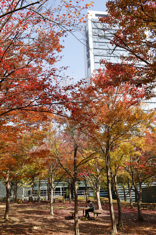 Campus-Autumn 2014